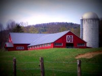 fake-barn-country