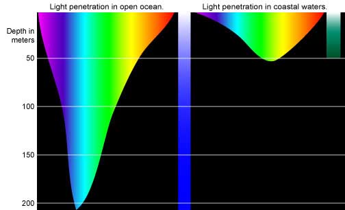 Ocean Light Penetration 39