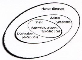 How Are Virtues And Vices Learned According To Aristotle