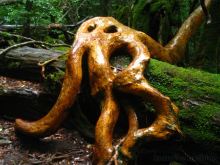 strange root