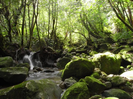 mountain streams