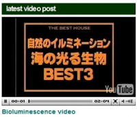 videopost