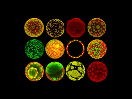 giant-liposomes giant-liposomes