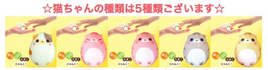 roly-poly-cat-egg