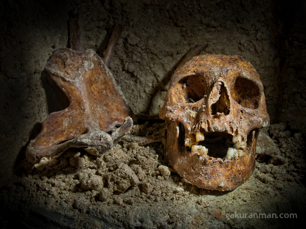 A human skull found deep in the catacombs under the streets of Paris.