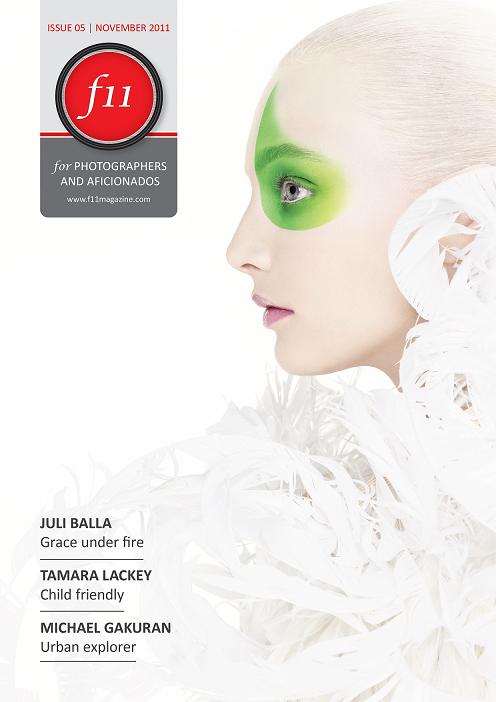 f11-2011-cover