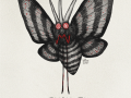 049-venomoth