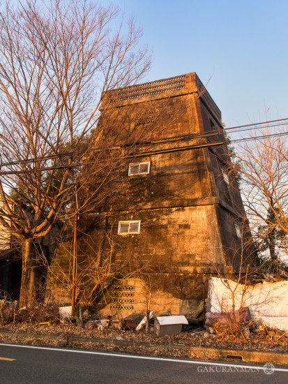 dokuro-skull-tower