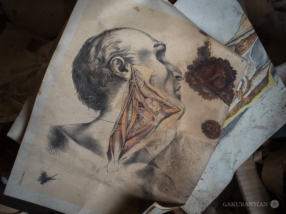 curiosity-clinic-anatomical-drawing-gakuranman