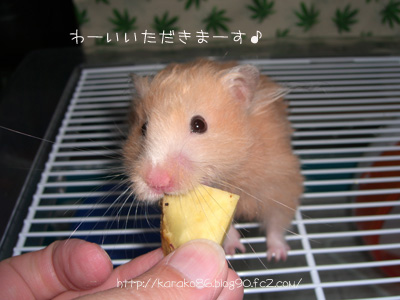 hamster-yaki-imo